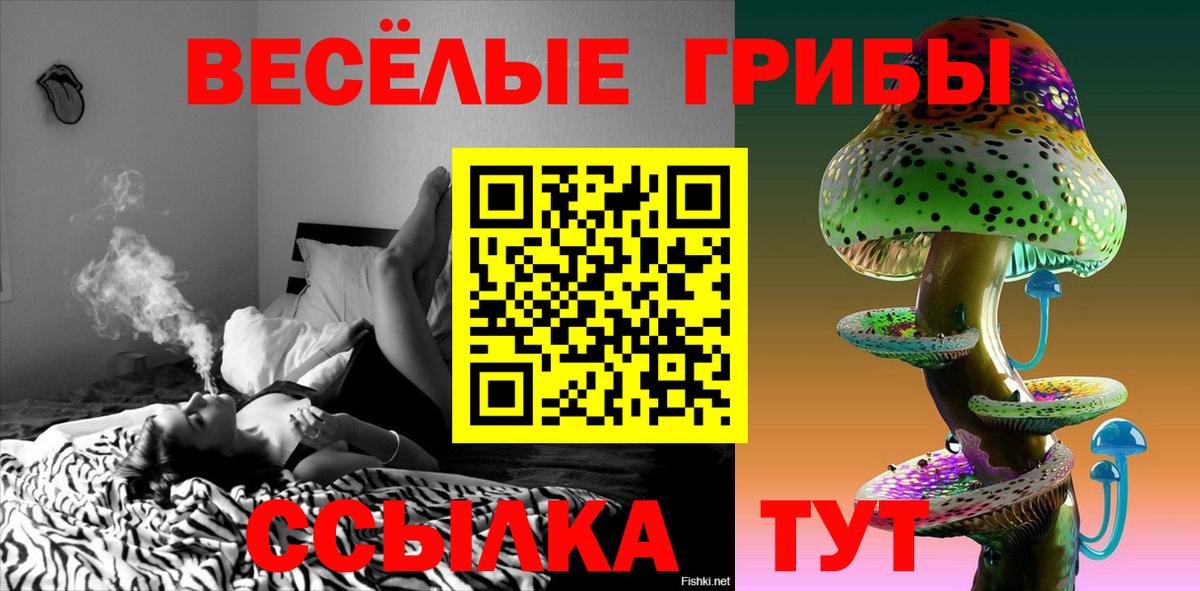 Сосновый Бор  Псилоцибиновые грибы GOLDEN TEACHER  Галлюциногенные грибы Psilocybine cubensis  Вход с VPN 